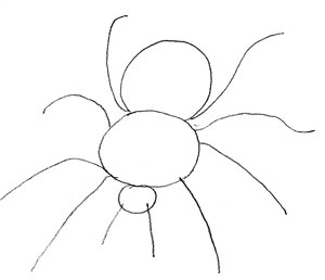 300x258 How To Draw A Spider