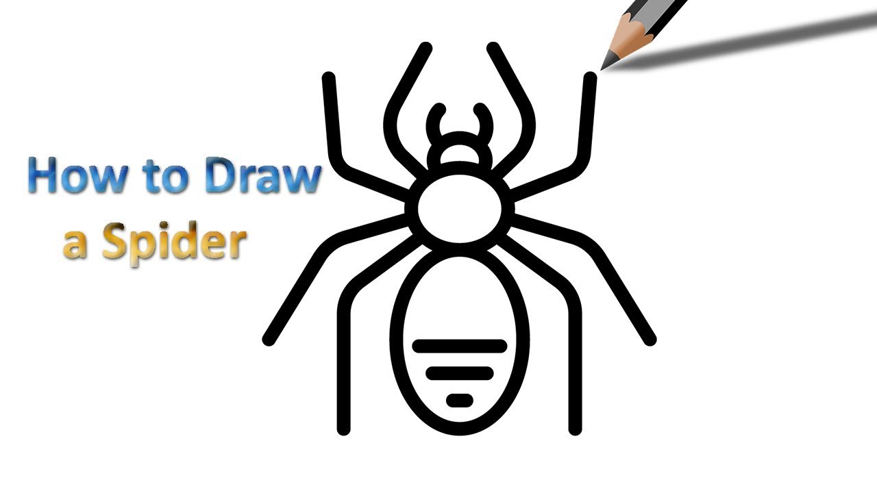 1280x720 How To Draw A Spider For Beginners Easy Drawing