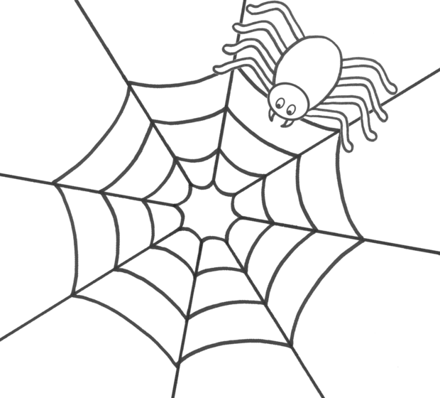 620x560 Image Result For Easy Spiderweb Drawing Drawing Prompt