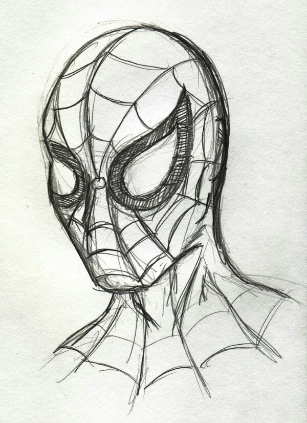 600x826 Spiderman Drawing