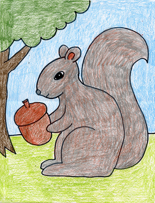 536x700 How To Draw A Squirrel