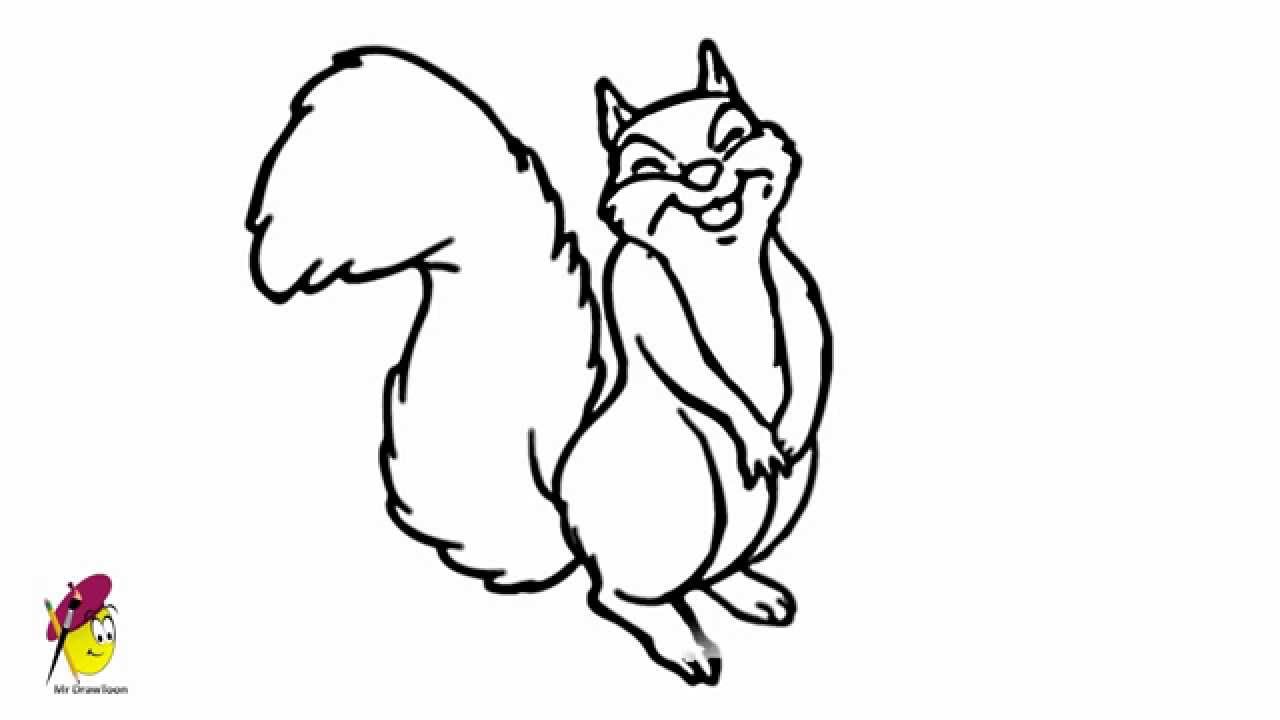 1280x720 Funny Squirrel