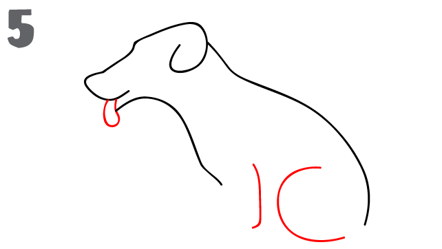 642x362 How To Draw A Dog