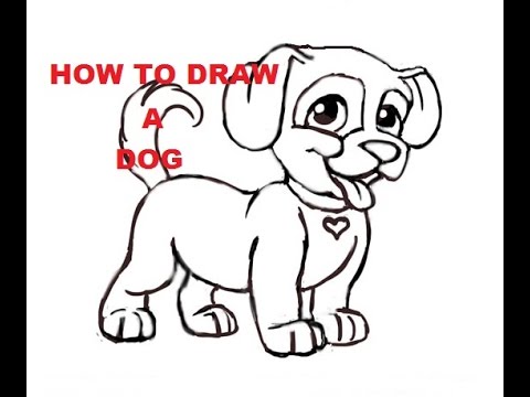 480x360 How To Draw A Dog Step By Step For Kids Easy Dogs Drawing