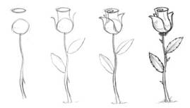 269x153 How To Draw Roses With Easy Step By Step Valentine's Day Drawing