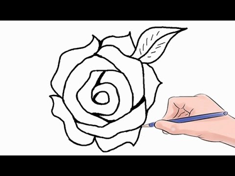 480x360 How To Draw A Rose Easy Step By Step
