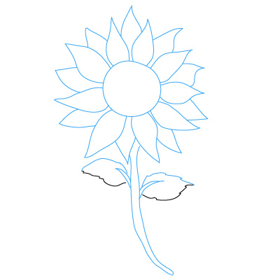 400x400 How To Draw A Sunflower Clipart Panda