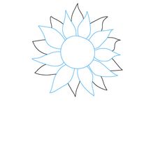 236x236 Simple Sunflower Drawing