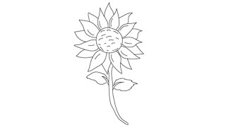 320x180 Flowers Plants