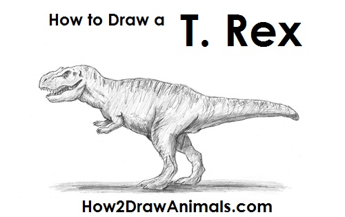 500x315 How To Draw A Tyrannosaurus Rex (T. Rex)