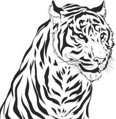 236x242 Pictures Easy Pencil Sketch Of Tiger,