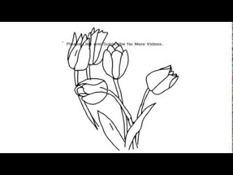 480x360 How To Draw Tulips Draw Under 2 Minutes Yzarts Yzarts