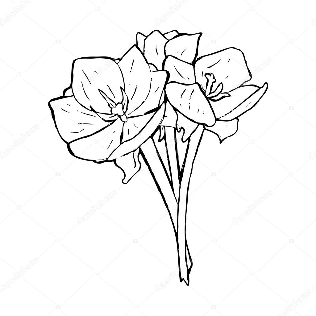 Easy Tulip Drawing at GetDrawings | Free download