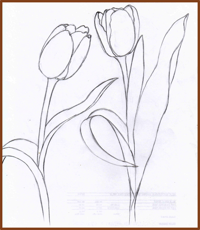 695x800 Weekly Doodles And Tuts How To Draw A Tulip Method 4