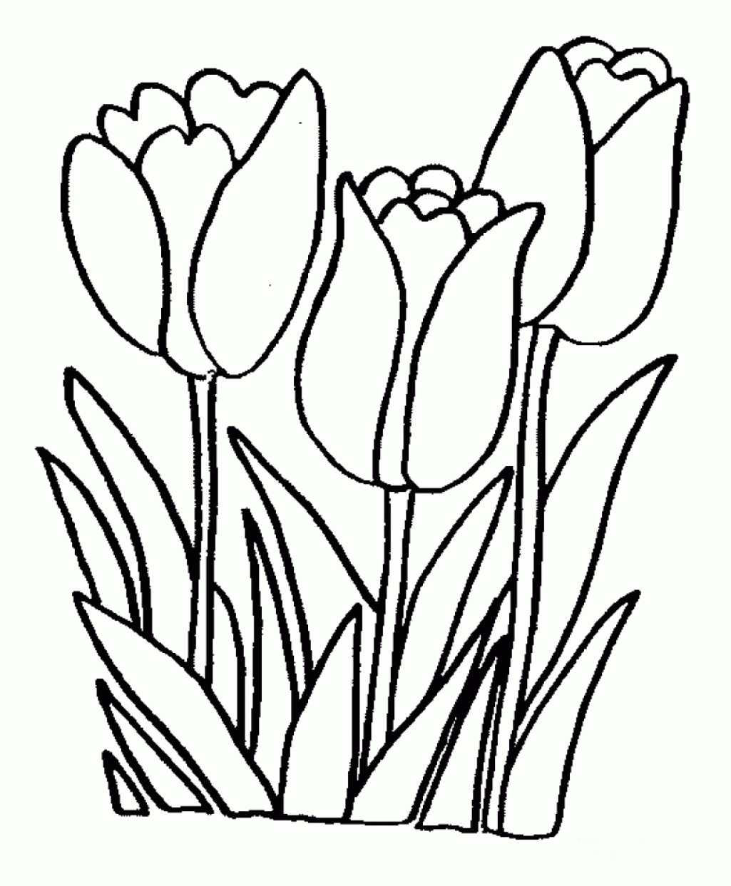 1025x1243 Coloring Pictures Of Tulip Flowers Best Of Coloring Pages Flower