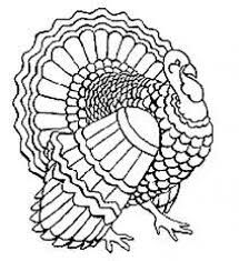 215x235 The Best Turkey Drawing Ideas On Easy Turkey