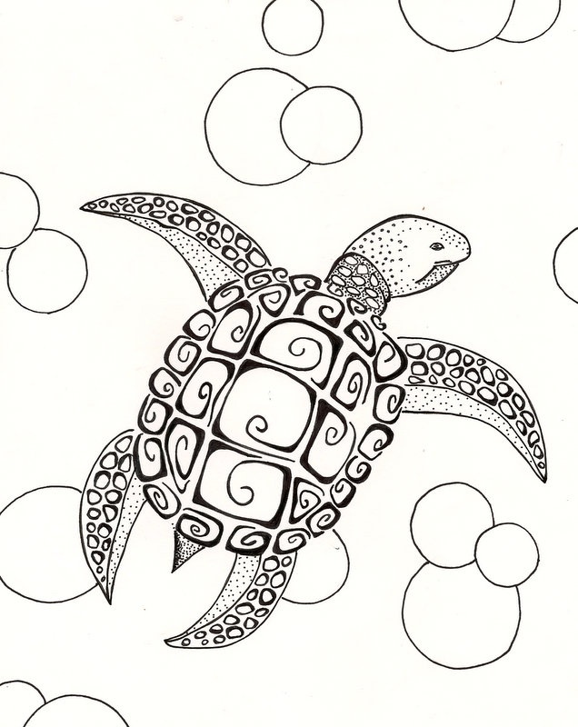 636x800 Drawn Turtle Awesome