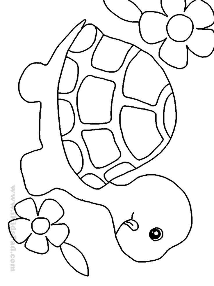 736x981 Coloring Pages Extraordinary Coloring Pages Draw Easy Animals