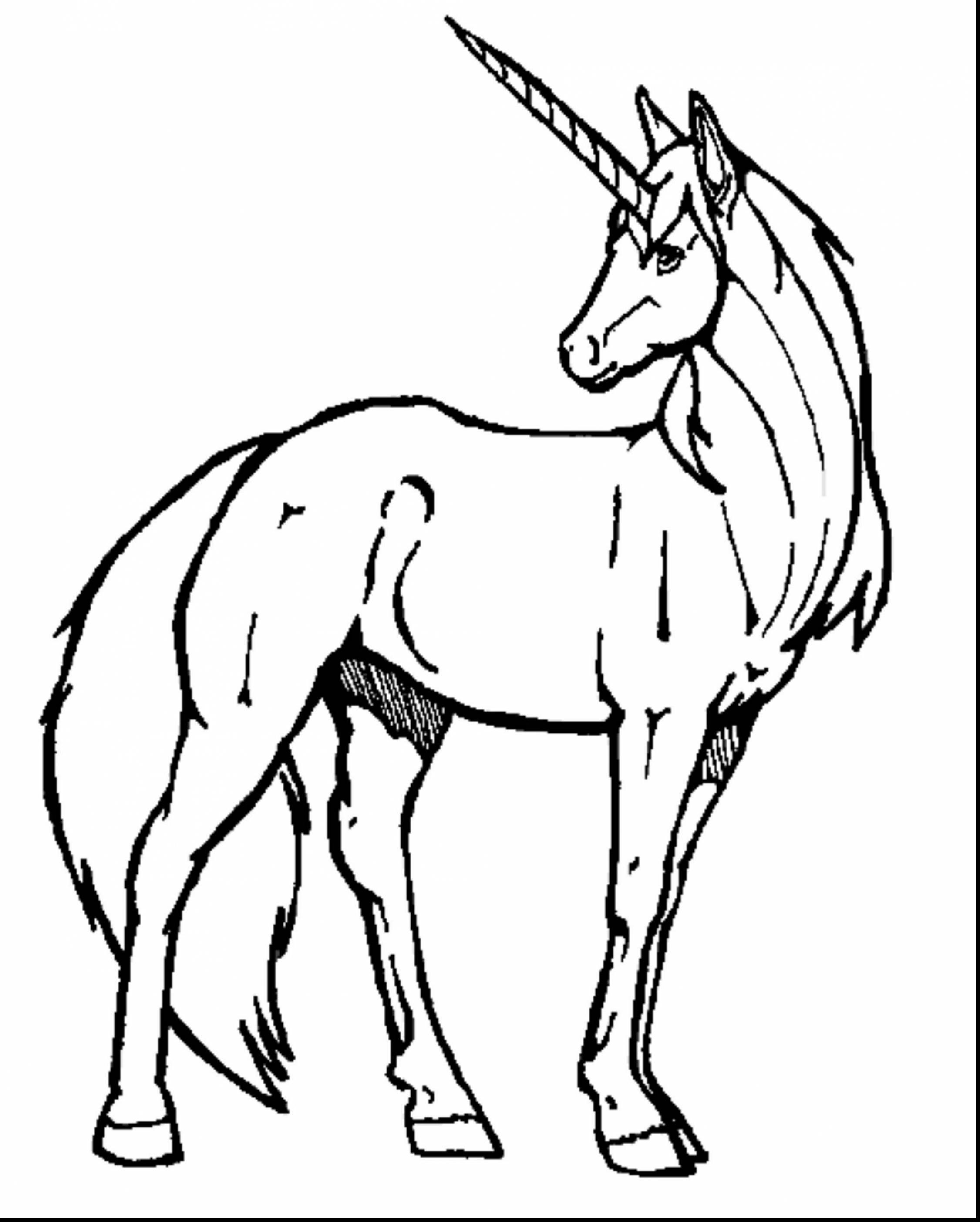 2251x2806 Fantastic Easy Unicorn Coloring Pages With Unicorn Coloring Pages