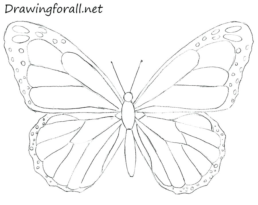 900x716 Easy Patterns To Draw The Best Ideas On Interior Design Side