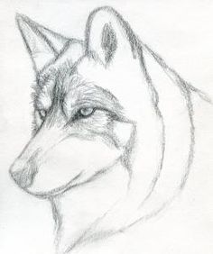 236x282 Easy Pencil Drawings Step By Step Wolf Learn How To Draw A Wolf
