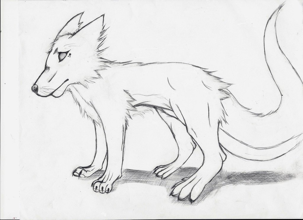 1024x745 Simple Wolf Drawing Tutorial