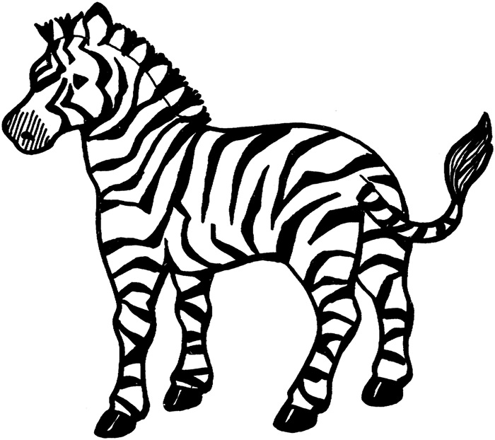 700x622 Zebra Templates