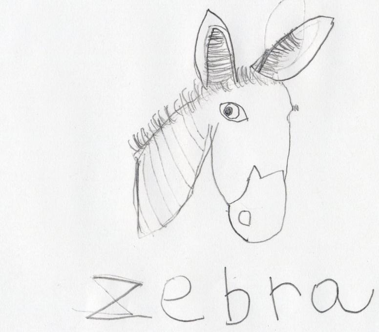 776x680 Zebra. Nature. Drawings. Pictures. Drawings Ideas For Kids. Easy