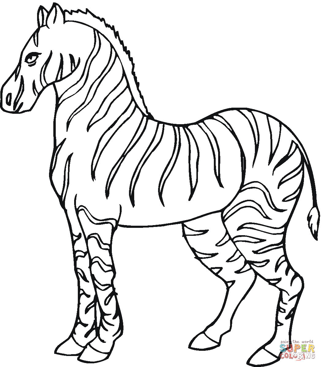 1051x1200 Zebras Coloring Pages Free Coloring Pages