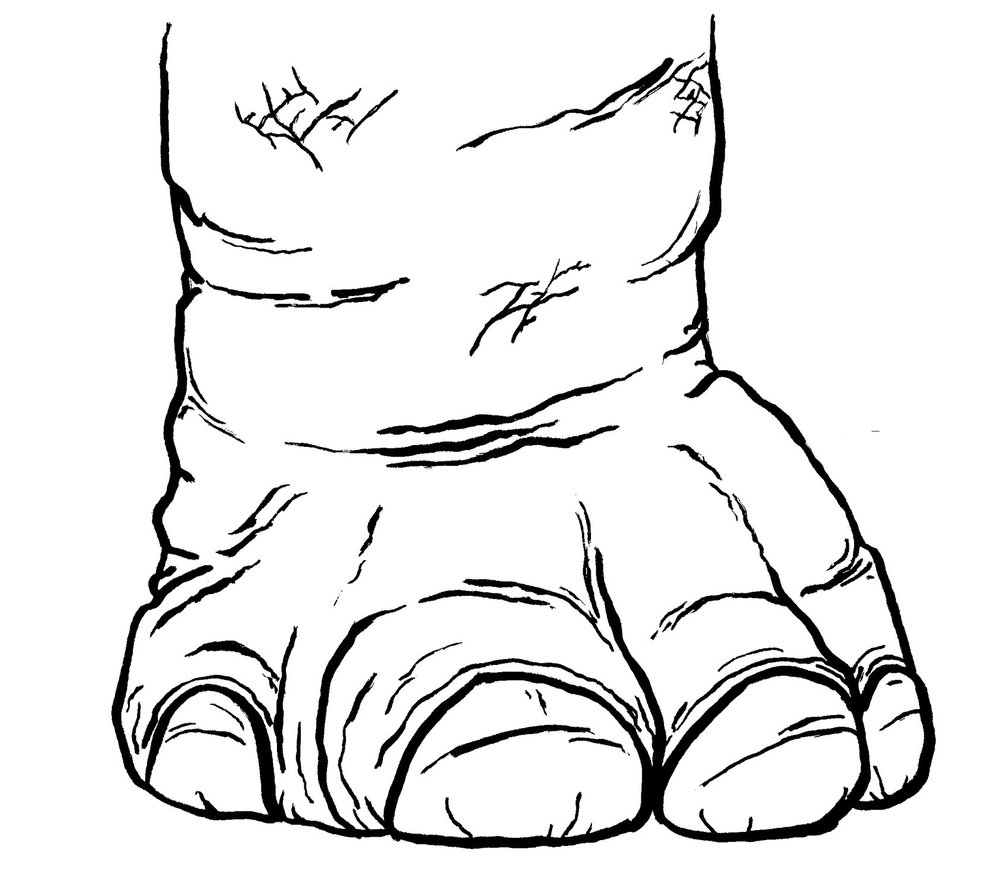 1000x892 Nashville Offbeat