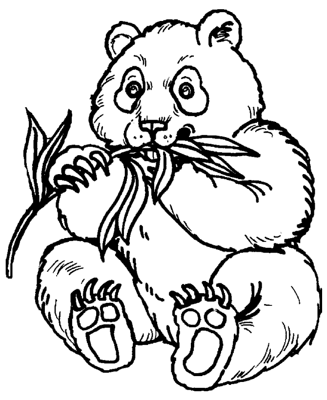 670x820 Wild Animal Coloring Page Panda Eating Coloring Zoo
