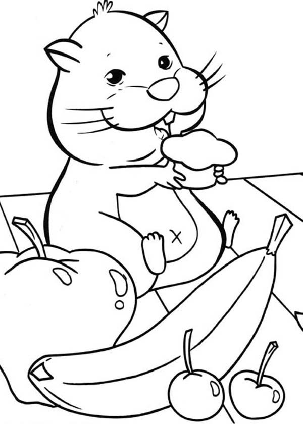 600x840 Zhu Zhu Pets Eat A Lot Of Fruits Coloring Pages Batch Coloring