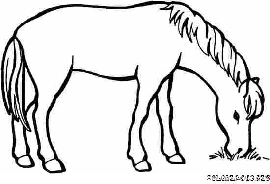 550x376 Horse Eating Clipart