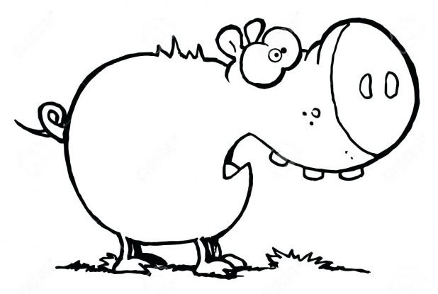 618x415 Pig Coloring Pages Guinea Outlines Peppa Outline For Cake Pictures