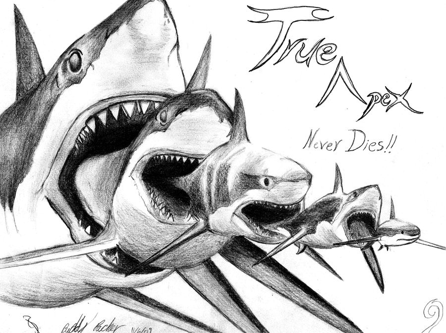 900x672 Megalodon Eating Someone Drawings Orc Eating