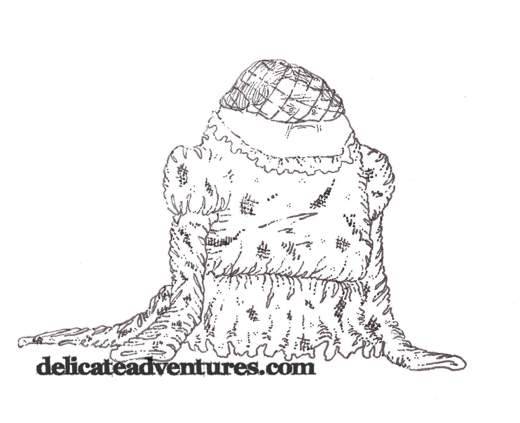 1776x1445 Charles Dickens Delicate Adventures