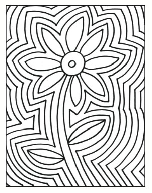 302x383 Warm And Cool Echo Flowers