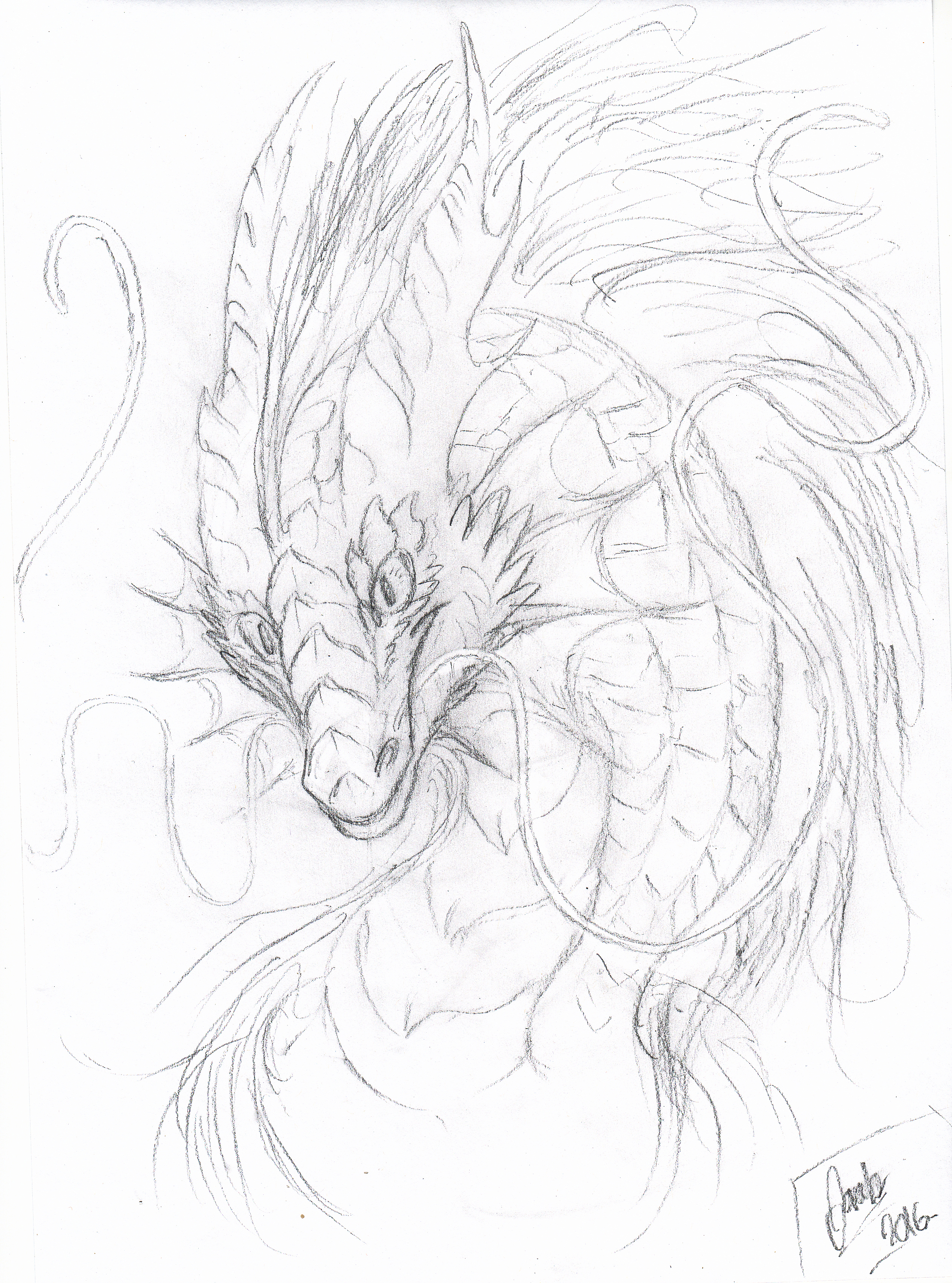 2526x3404 Eclipse Randomness