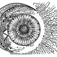 200x200 Abstract Drawing Gallery