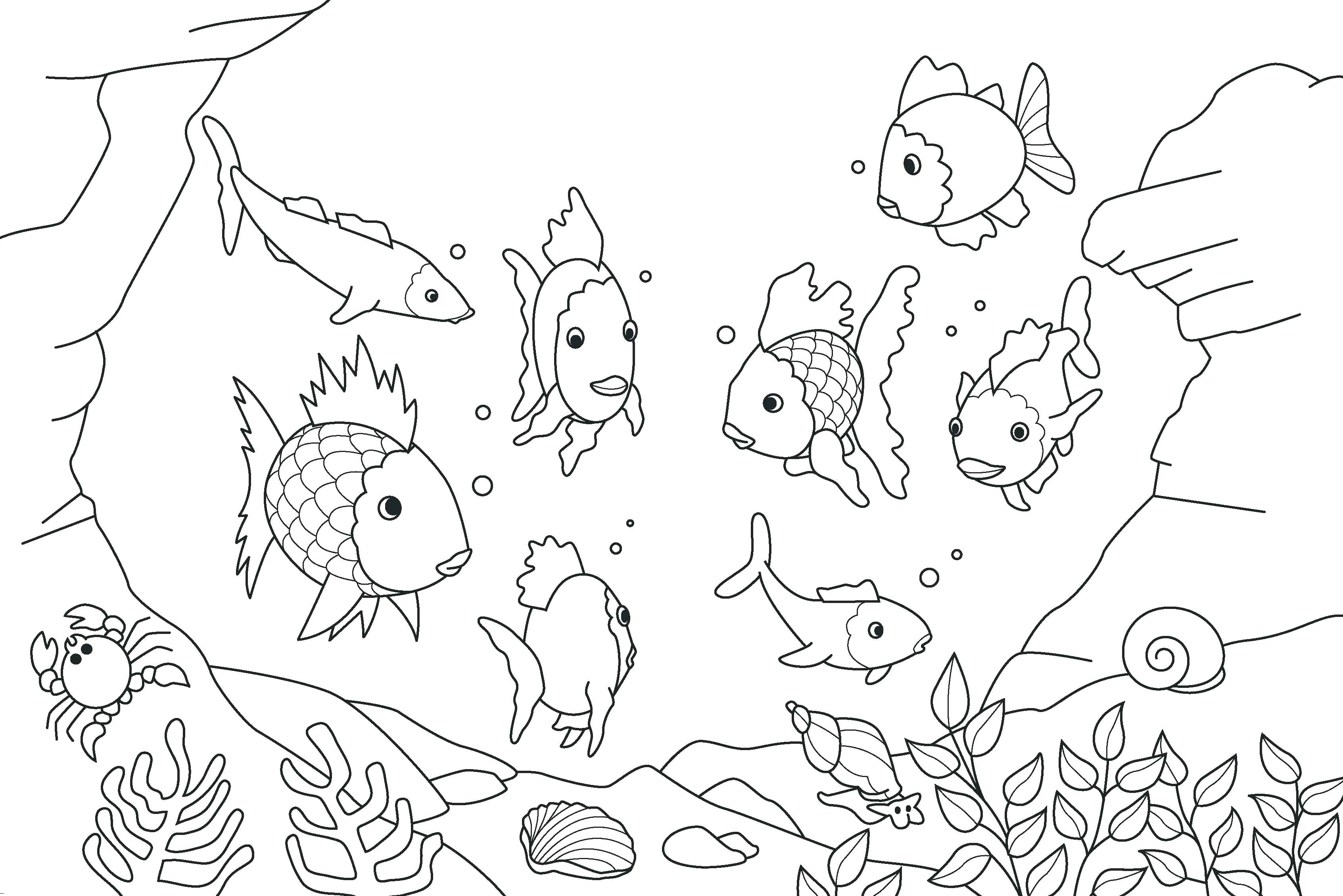 3386x2260 Coloring Ecosystem Coloring Pages