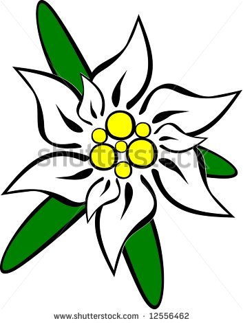 353x470 Stock Images Similar To Id 70313452