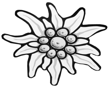 380x304 Edelweiss