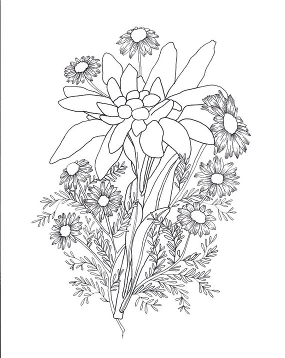 570x716 Edelweiss Amp Chamomile Tattoo Sketch Beauty Etsy Collections