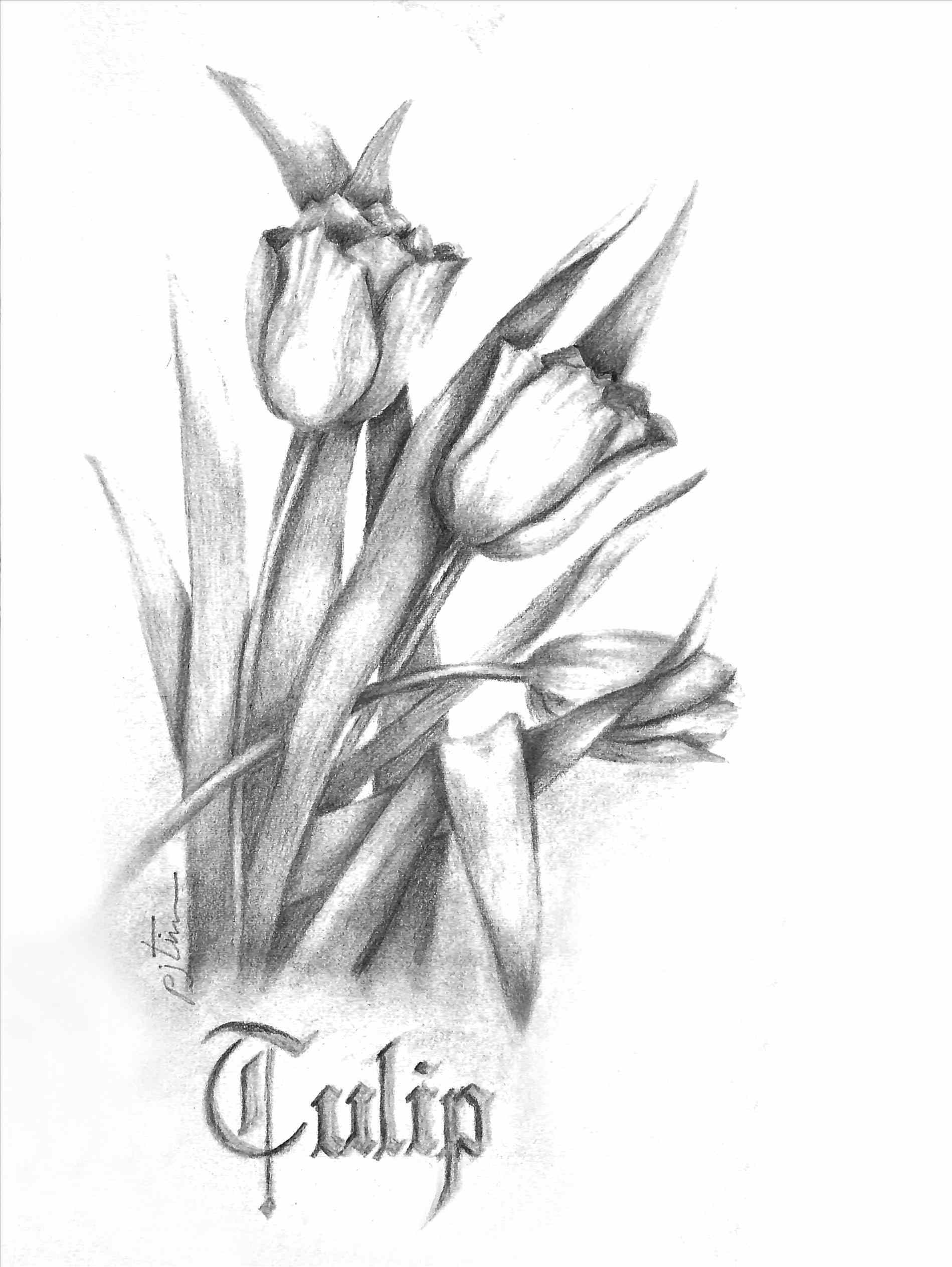 1899x2527 Rare Flowers Drawings