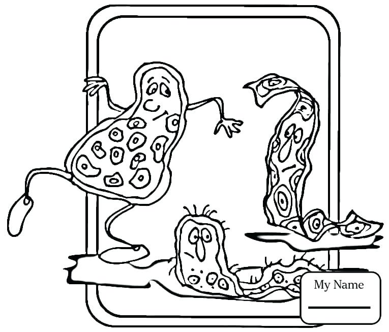 765x653 First Aid Coloring Pages As Well Science Education Firs On Doctor