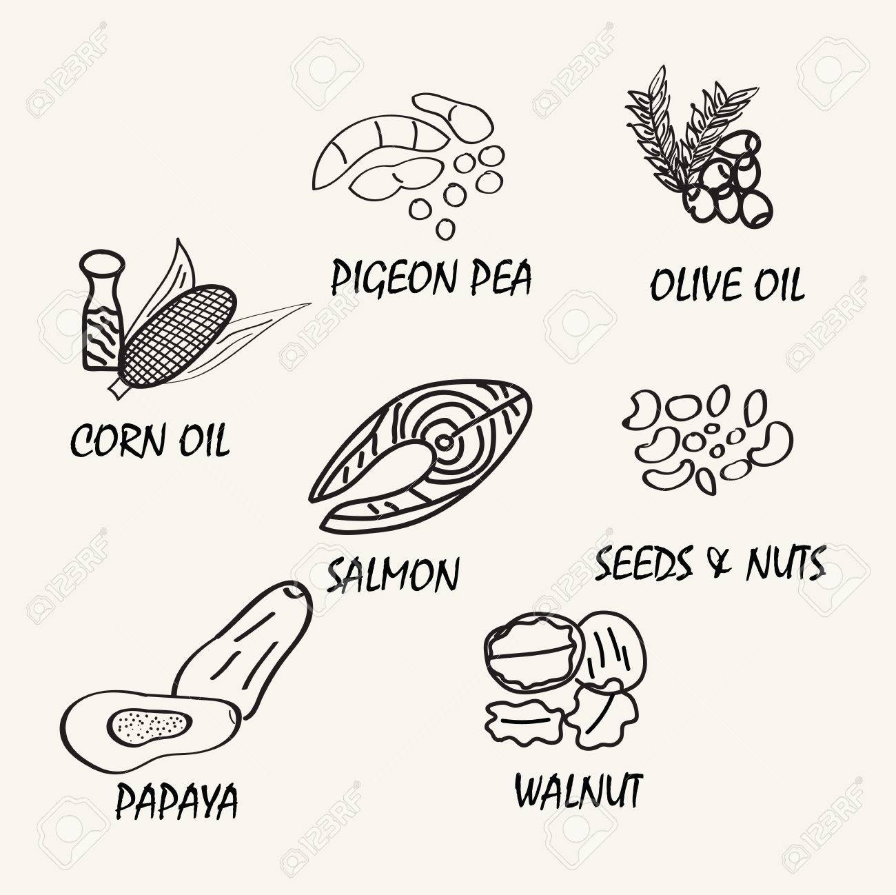 1300x1298 Line Drawing Natural Food. Vector Hand Drawing Food Elements