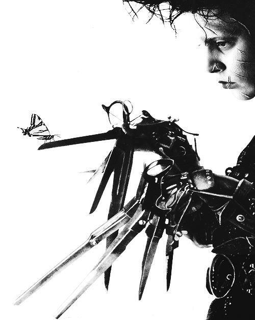 500x627 Edward Scissorhands And A Butterfly. So Awesome
