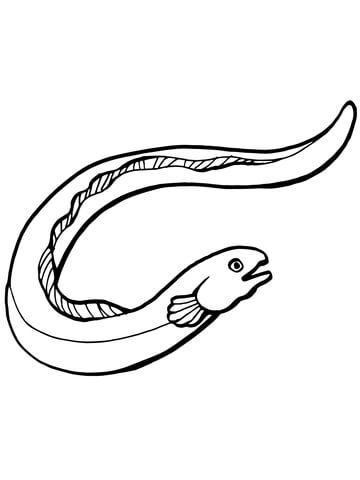 360x480 Eel Fish Coloring Page Free Printable Coloring Pages