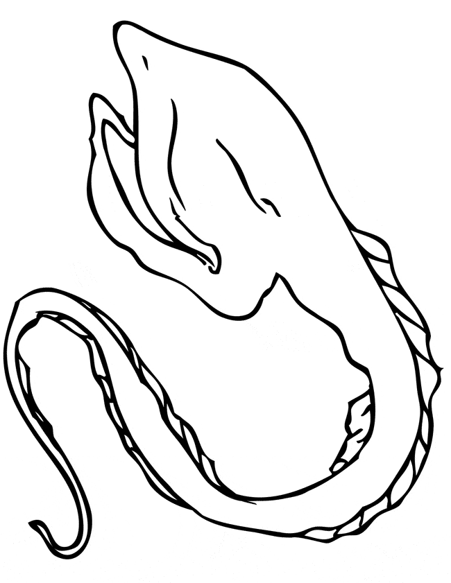 650x841 Eel Coloring Page