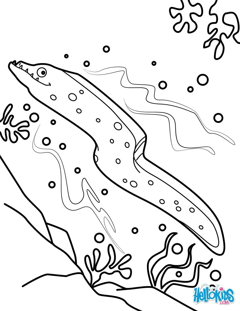 820x1060 Moray Eel Coloring Pages